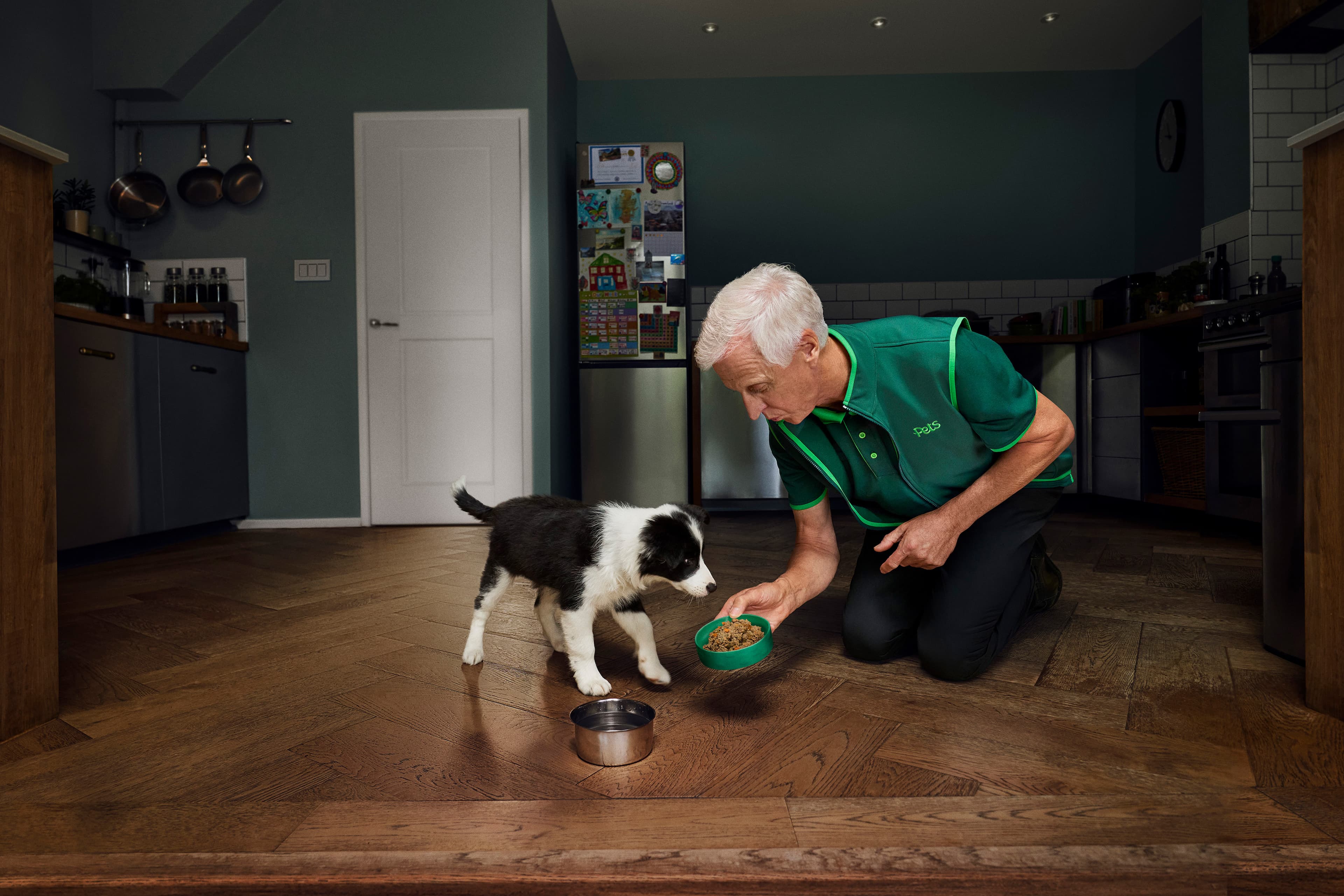 Pets At Home 
